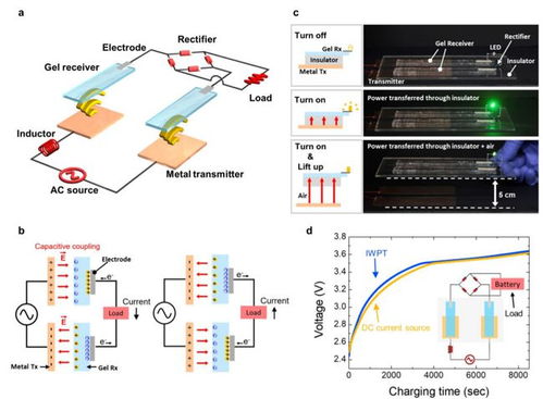 腦科學(xué)日報 超加工食品加速衰老，全球最大神經(jīng)元類腦計算機問世，通訊設(shè)備設(shè)計革新